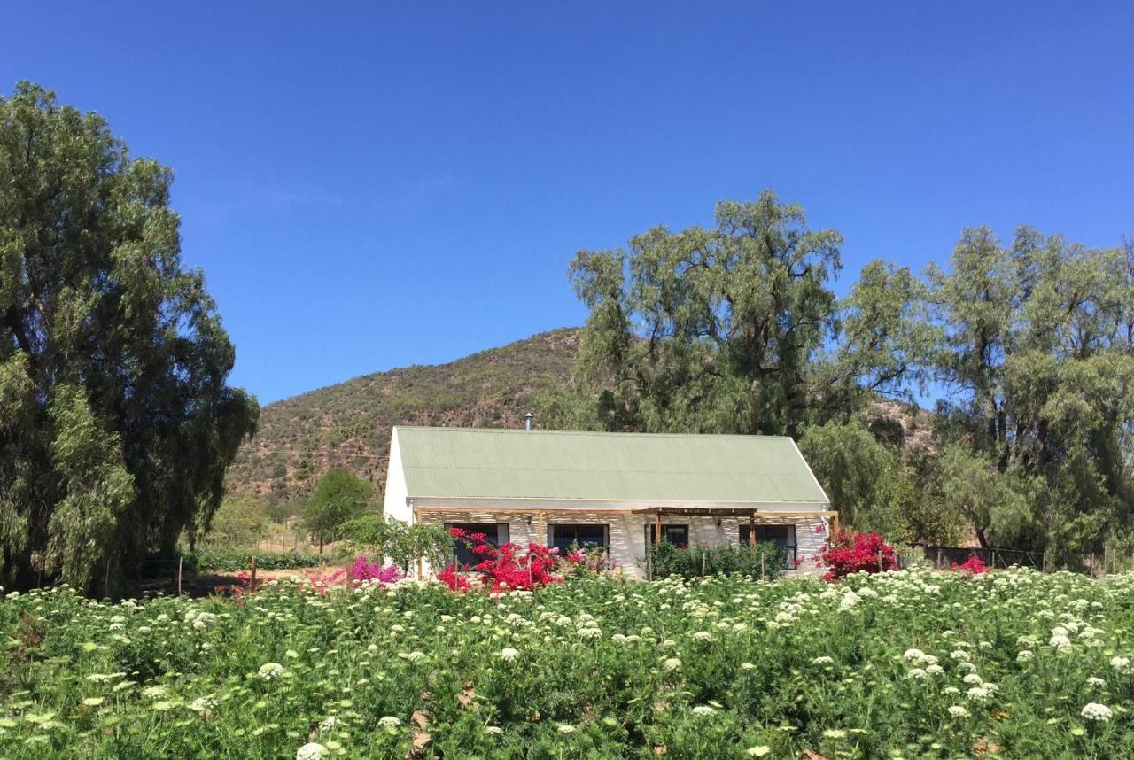 Pepper Tree Cottage De Rust Dış mekan fotoğraf